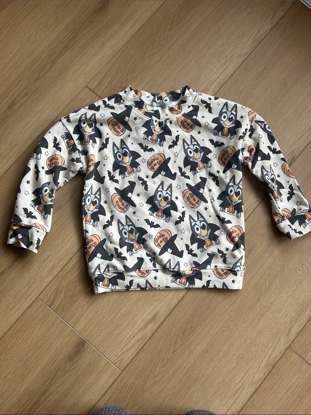 Dear Aspen Bluey vampire Halloween Pullover